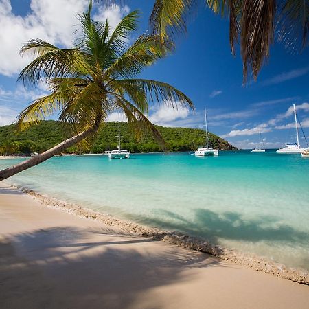 Hotel Salt Whistle Bay Retreat Mayreau Island Exteriér fotografie