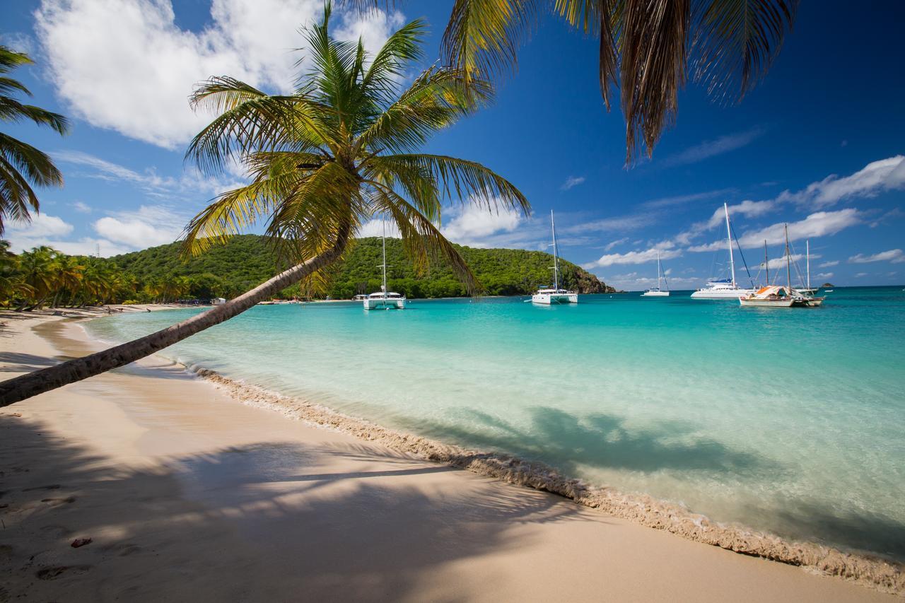 Hotel Salt Whistle Bay Retreat Mayreau Island Exteriér fotografie
